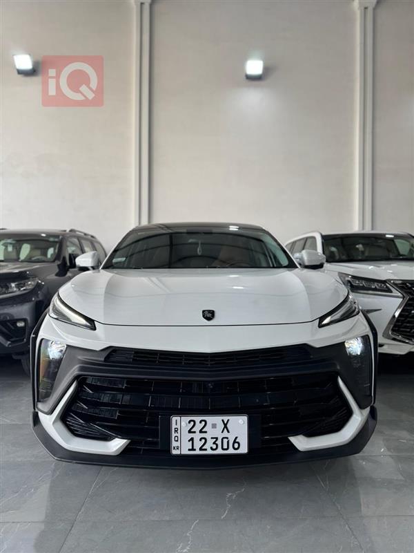 Dongfeng for sale in Iraq